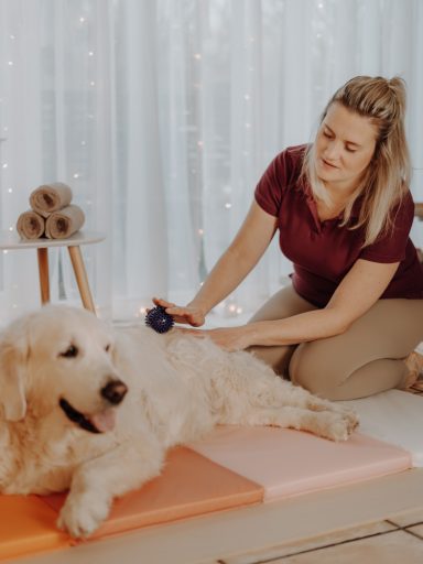 Massage mit Igelball