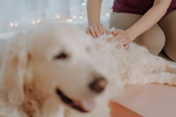 Massage